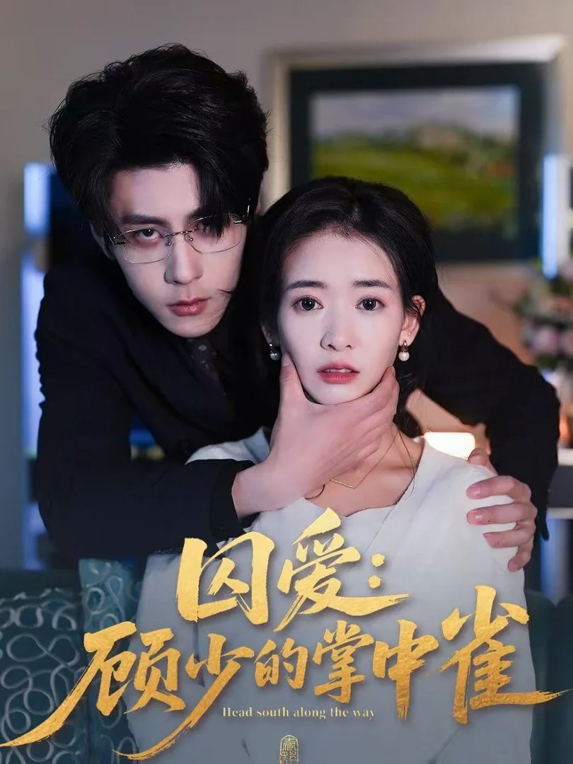 囚爱：顾少的掌中雀海报