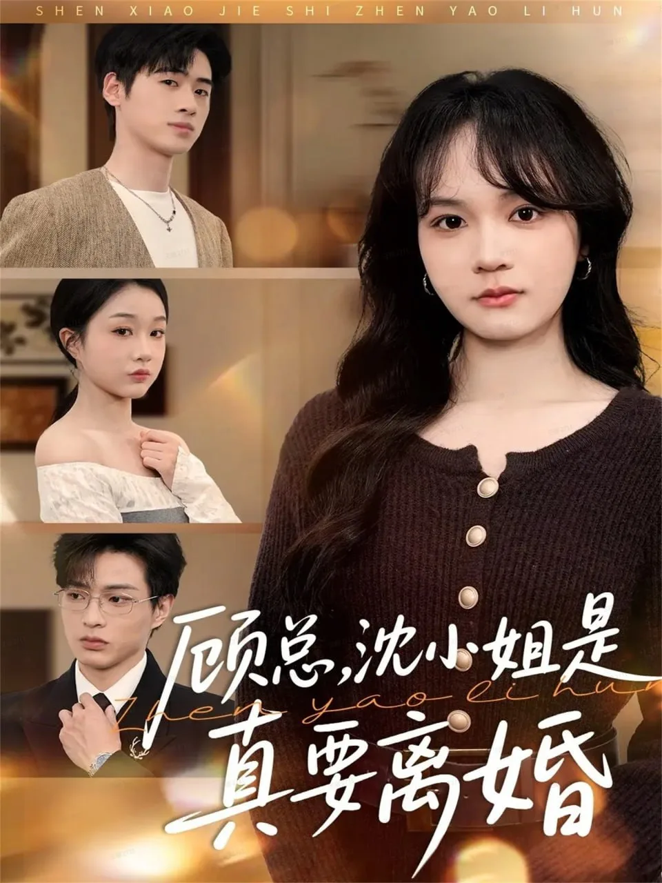 顾总，沈小姐是真的要离婚海报