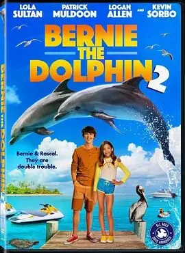 海豚伯尼2海报