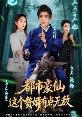 都市豪仙，这个赘婿有点无敌海报