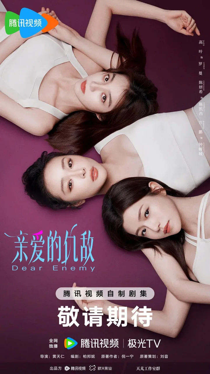 亲爱的仇敌海报