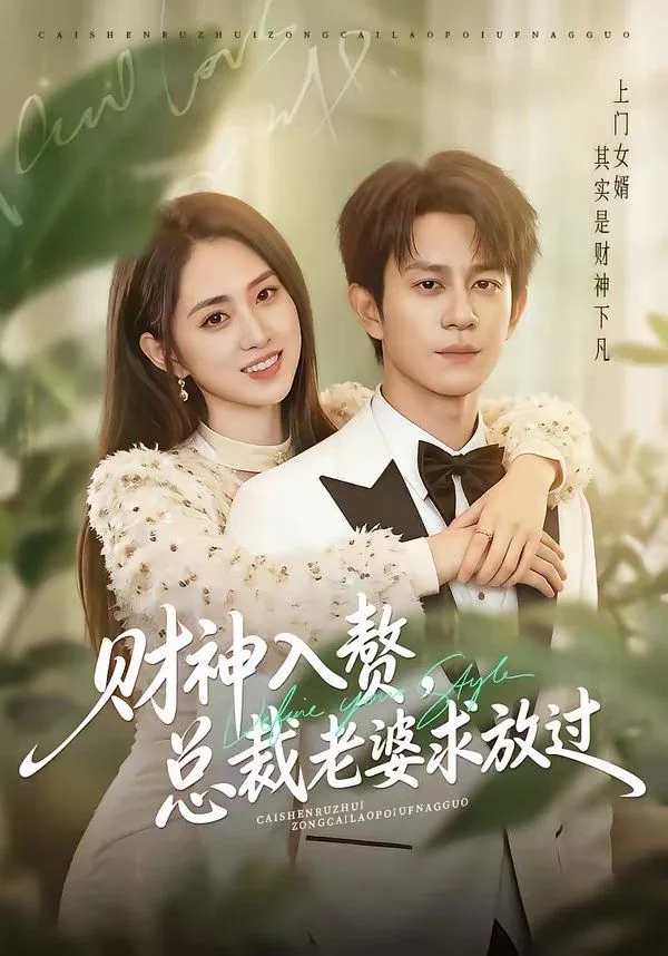 财神入赘，总裁老婆求放过海报