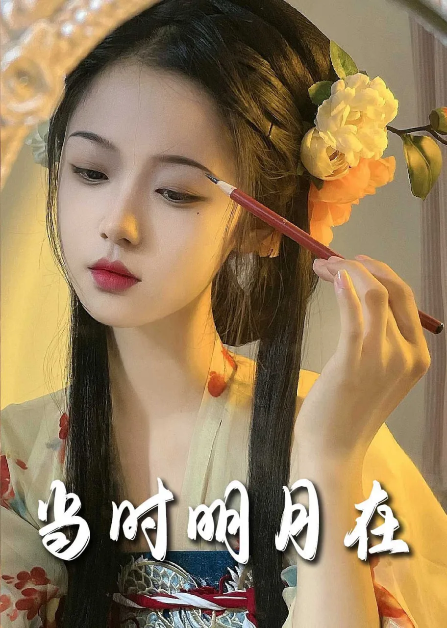 明月照南星（当时明月在）海报
