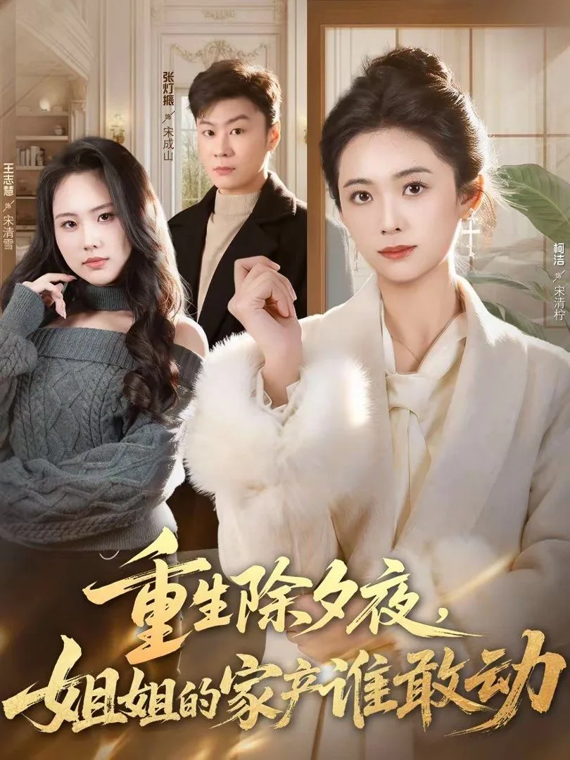 重生除夕夜，姐姐的家产谁敢动海报