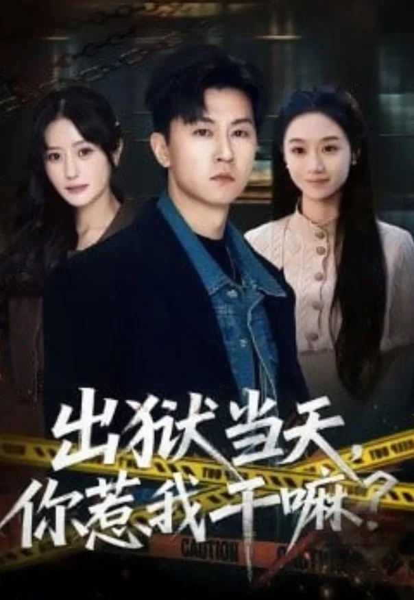 出狱当天，你惹我干嘛？（出狱当天你惹我干嘛）海报