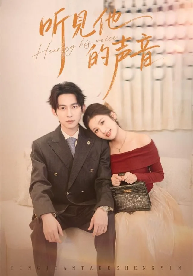听见他的声音海报