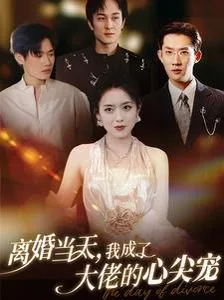 离婚当天我成了大佬的心尖宠海报