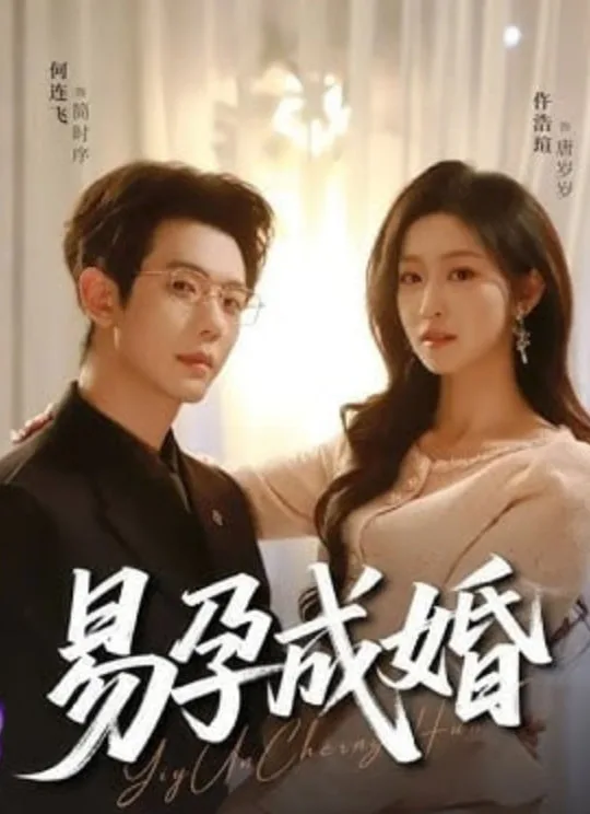 易孕成婚海报
