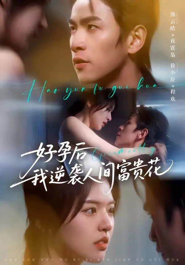 好孕后我逆袭人间富贵花（夜先生的小欢喜）海报