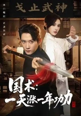 国术，一天涨一年功力海报