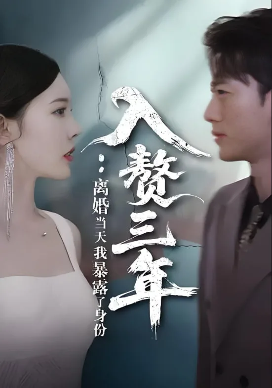 入赘三年：离婚当天我暴露了身份海报