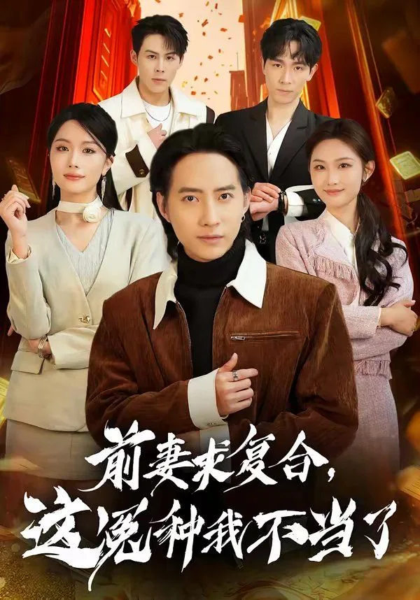 前妻求复合，这冤种我不当了海报