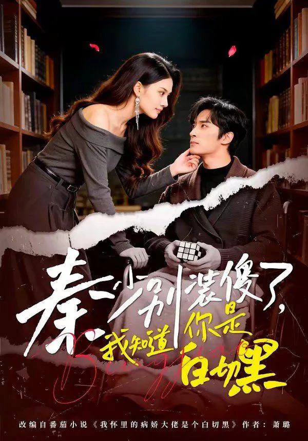 秦少别装傻了，我知道你是白切黑海报