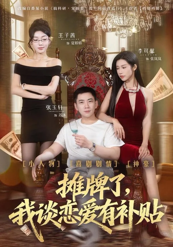 摊牌了，我谈恋爱有补贴海报
