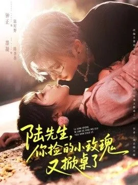 陆先生，你捡的小玫瑰又掀桌了海报