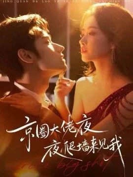 京圈大佬夜夜爬墙来见我，吻上瘾，顾总他破防了海报