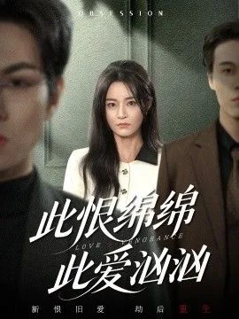 此恨绵绵此爱汹汹海报