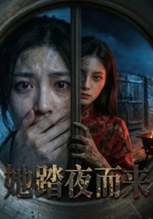 她踏夜而来海报