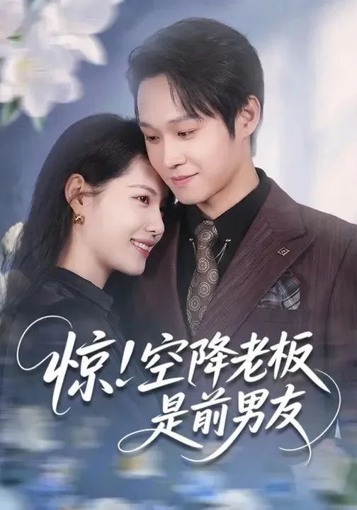 惊！空降老板是前男友海报