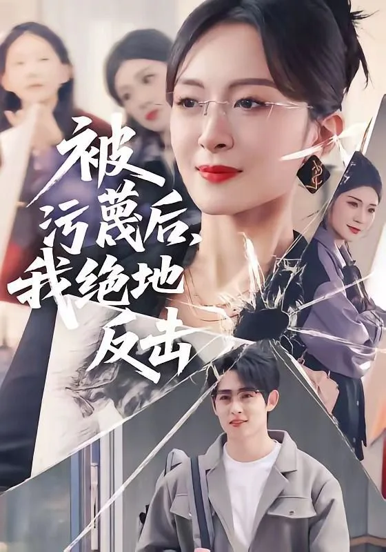 被污蔑后，我绝地反击