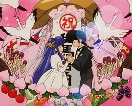 乱马1/2OVA 珊璞暴变—反转宝珠之祸海报