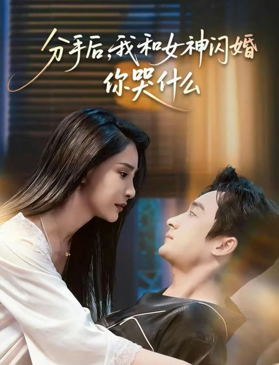 分手后，我和女神闪婚你哭什么（悲欢离合总无情）海报
