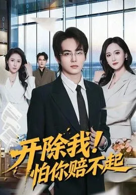 开除我！怕你赔不起海报