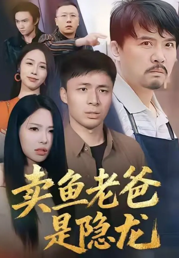 卖鱼老爸是隐龙海报